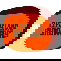 KR Strikeforce NFL Grip Ball Cleveland Browns ALT Image