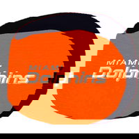 KR Strikeforce NFL Grip Ball Miami Dolphins ALT Image