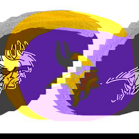 Minnesota Vikings