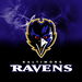 Review the KR Strikeforce NFL on Fire Towel Baltimore Ravens