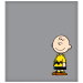Review the KR Strikeforce Peanuts Shammy Charlie Brown Grey