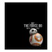 Review the KR Strikeforce Star Wars Shammy BB-8 Droid