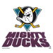 Review the Master NHL Anaheim Mighty Ducks Towel
