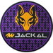Review the Motiv Grip Disk Shammy Jackal Ghost V2