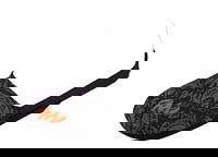 Motiv Zeal Shoe Slider