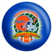 Review the OnTheBallBowling 2008 National Champion Gators