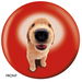 Review the OnTheBallBowling Golden Retriever