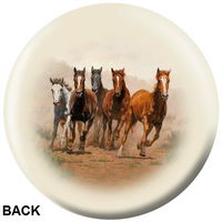 OnTheBallBowling Nature Break Away BACK Image