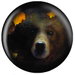 Review the OnTheBallBowling Nature Grizzly Bear