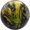 Trending Product : Radical Guru Oracle Pearl