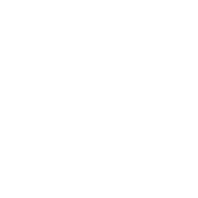Hammer Bowling Shoes
