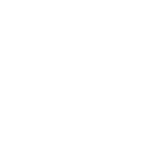 Motiv Bowling Balls