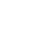 Storm Bowling Shoes