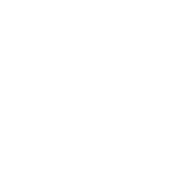VISE Bowling Bags