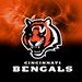 Review the KR Strikeforce NFL on Fire Towel Cincinnati Bengals