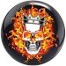 Review the Brunswick Flaming Skull Viz-A-Ball