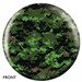 Review the OnTheBallBowling Green Camouflage