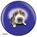 Review the OnTheBallBowling Beagle